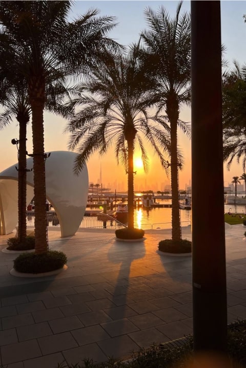 5 ragioni principali per cui dovresti investire nel settore immobiliare negli Emirati Arabi Uniti?